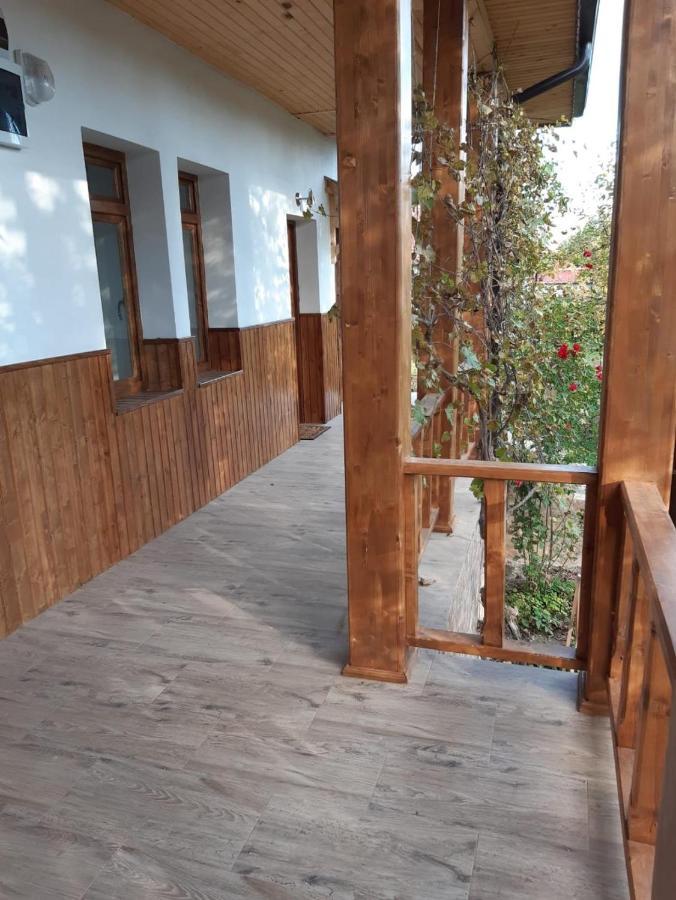 Pensiunea Dodo Patarlagele Εξωτερικό φωτογραφία