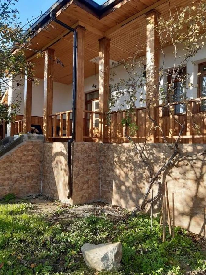 Pensiunea Dodo Patarlagele Εξωτερικό φωτογραφία