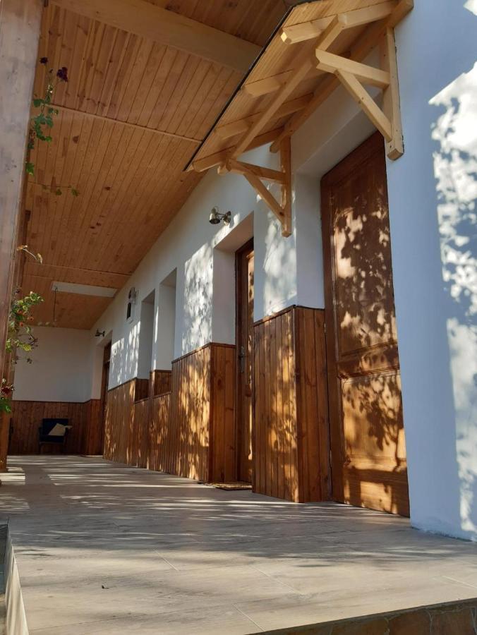 Pensiunea Dodo Patarlagele Εξωτερικό φωτογραφία