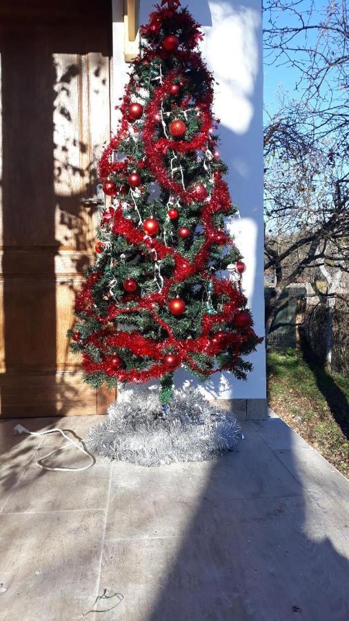 Pensiunea Dodo Patarlagele Εξωτερικό φωτογραφία