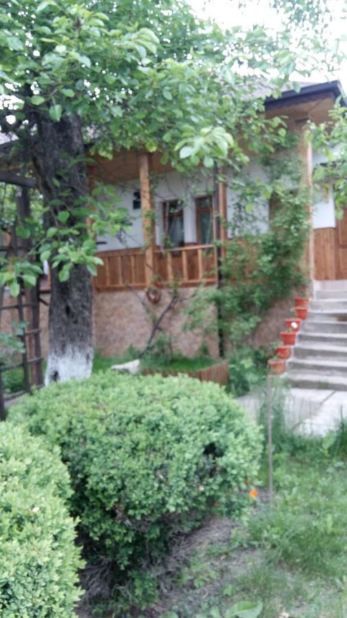 Pensiunea Dodo Patarlagele Εξωτερικό φωτογραφία