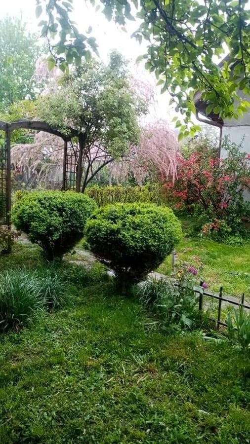 Pensiunea Dodo Patarlagele Εξωτερικό φωτογραφία